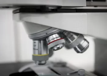 Estrógenos disminuyen capacidad del sistema inmunitario para combatir el cáncer, señala estudio