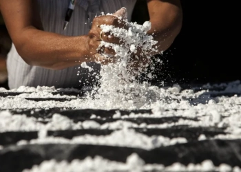 ¿Por qué gustan tanto los carbohidratos? El ADN antiguo podría ser la respuesta