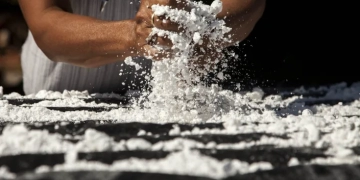 ¿Por qué gustan tanto los carbohidratos? El ADN antiguo podría ser la respuesta