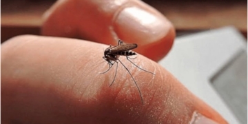 Prevén aumento en casos de dengue por inundaciones en Tabasco