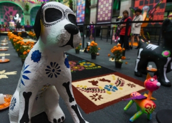 Amor y Memoria: nuestras mascotas también tienen un lugar en el Día de Muertos
