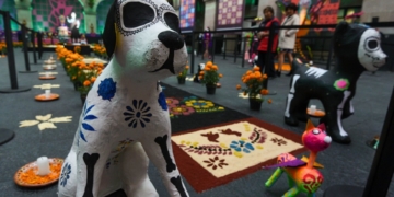 Amor y Memoria: nuestras mascotas también tienen un lugar en el Día de Muertos