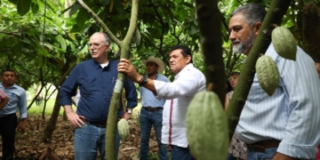 Va histórica inversión para el sector agropecuario en Tabasco