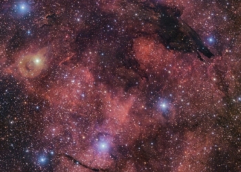 "Con silueta de un lobo" Revela la ESO imagen de una nebulosa oscura