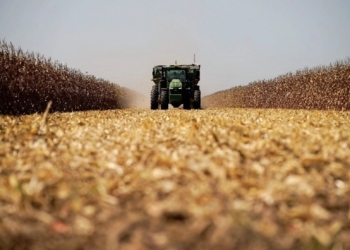 Busca EE.UU. que México sea su principal socio comercial de agroalimentos