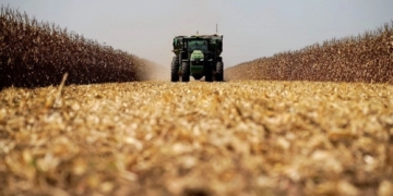 Busca EE.UU. que México sea su principal socio comercial de agroalimentos