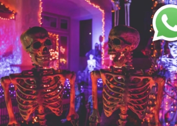 Conoce este truco para activar el modo Halloween en WhatsApp