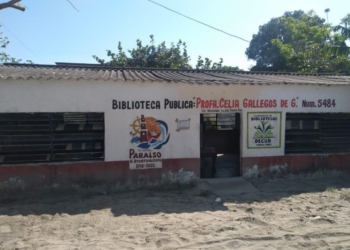 Paraíso implementa plan de rescate para bibliotecas con apoyo en limpieza, regularización de terrenos y fomento a la lectura