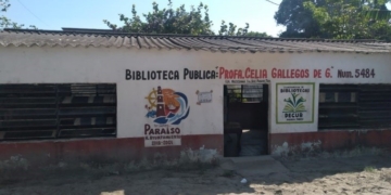 Paraíso implementa plan de rescate para bibliotecas con apoyo en limpieza, regularización de terrenos y fomento a la lectura