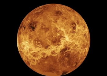 Descubren científicos el cráter más grande y antiguo de Venus