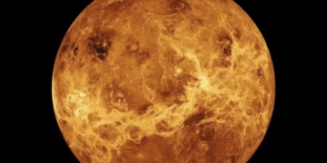 Descubren científicos el cráter más grande y antiguo de Venus