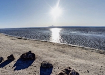 Identifican microbios vivos en el desierto más seco de la Tierra