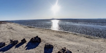 Identifican microbios vivos en el desierto más seco de la Tierra