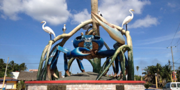 Rescate del Patrimonio Ostrícola en Paraíso: Un Vínculo con la Historia y la Identidad Local