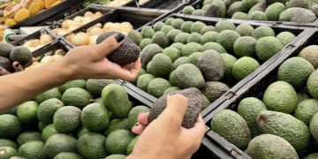 Sector agroalimentario, tercer sector que más exporta en México: BdeM