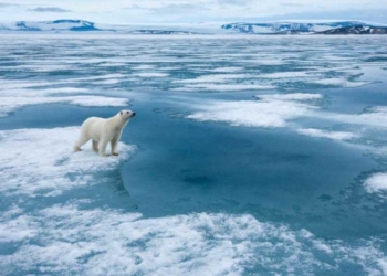 Primer día sin hielo en el oceáno Ártico ocurrirá en 2027, prevé equipo científico