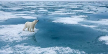 Primer día sin hielo en el oceáno Ártico ocurrirá en 2027, prevé equipo científico