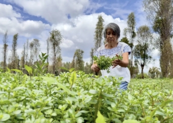 Comienza entrega de recursos atrasados de Producción para el Bienestar