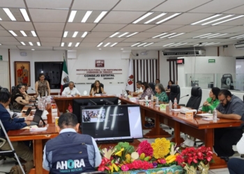 Reforma electoral alista cambios significativos en el IEPCT