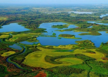 Llevan a cabo estrategias contra incendios en los Pantanos de Centla