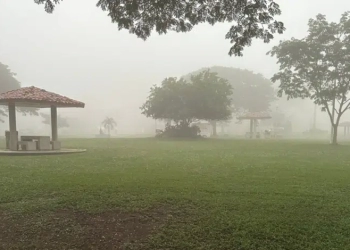 "Ambiente fresco" Neblina predomina en las calles de Villahermosa, Tabasco