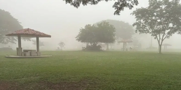 "Ambiente fresco" Neblina predomina en las calles de Villahermosa, Tabasco