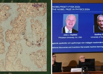 Destacan descubrimientos de microARN y en IA en ciencia este 2024