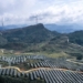 Inauguran planta solar ubicada a la mayor altitud en el mundo en China