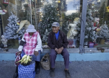 Prohibición de sembrar maíz transgénico será ley en 2025: Claudia Sheinbaum