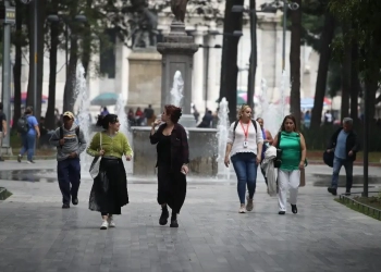 De enero a noviembre se registro un alza de 6.2% en recaudación tributaria, informa el SAT