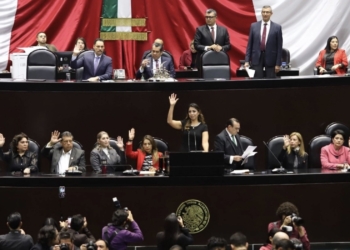 Diputados de Morena respaldan reforma que prohíbe transgénicos