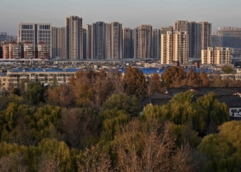 Plantar árboles incorrectos hace que ciudades sean más calurosas, revela estudio