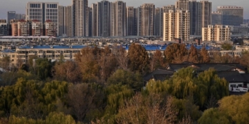 Plantar árboles incorrectos hace que ciudades sean más calurosas, revela estudio