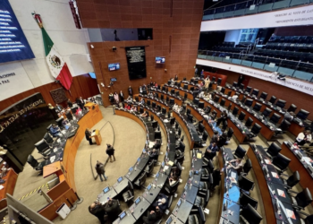 Aprueba el Senado por unanimidad la 'Ley Silla'
