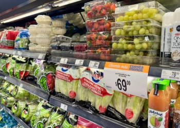 Precios de los alimentos disminuyeron 2.1% anual en 2024: FAO