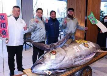 Pagan en Japón más de 1.3 mdd por un atún en primera subasta del año