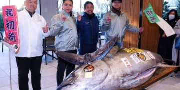 Pagan en Japón más de 1.3 mdd por un atún en primera subasta del año